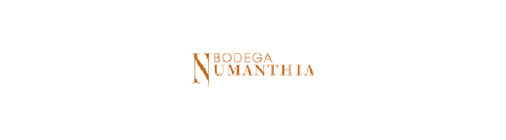 Bodega Numanthia