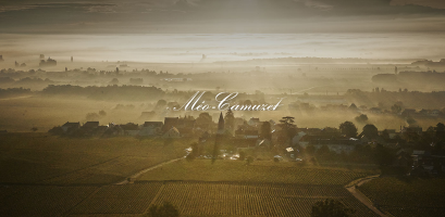 Domaine Méo-Camuzet