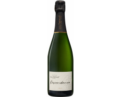 Cuvée Descendance - Champagne Jacky Tapprest & Fils - No vintage - Effervescent